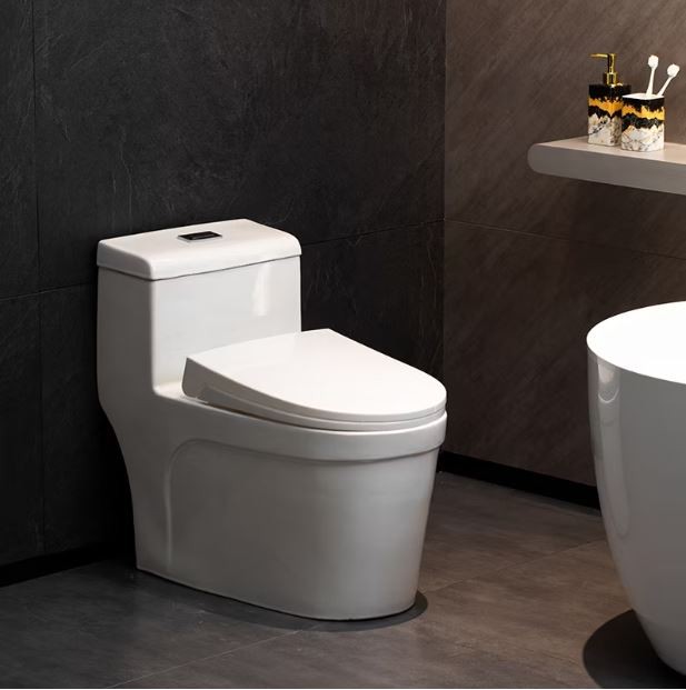 Commode- P trap one part High Commode